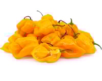 Chilli Habanero Yellow (HL) - (Pack of 100g)