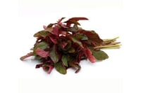 Amaranthus Red / Chaulaee