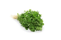 Methi