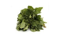 Amaranthus Green / Chaulaee