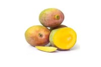 Mango - Sindhura