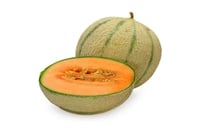 Muskmelon Striped