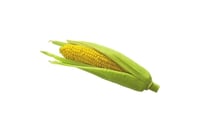 Sweet Corn Kernels (200g Pack)