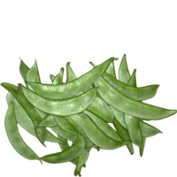 Beans - Broad (250g Pack)