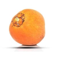 Tender Coconut - 1 Unit (SL)