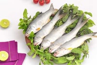 Desi Indian River Salmon / Vazhmeen / Raavas / Gurjali/ গুরজালি (Small) - Curry Cut (350g Pack)