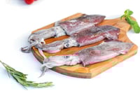 Kerala Squid / Koonthal / ಬೊಂಡಾಸ್ - Whole