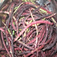 Alasande Beans / Purple Hull Peas