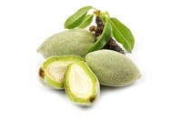 Almond Ferek (LB) - Pack of 250g 