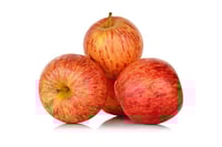Apple Gala Fresh - Pack of 4