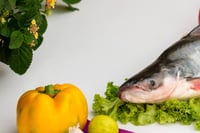 Indian Baasa / Pangasius - Head Pieces