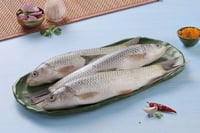 Chara Pona (Mrigal) / Baby Mrigal