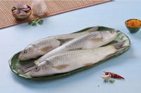 Chara Pona / Baby Mrigal - Whole Uncleaned (480g to 580g Pack)