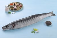 Barracuda / Al Gidd / Cheelavu (Medium) - Whole Cleaned