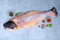 Fresh Indian Baasa / Pangasius - Whole cleaned