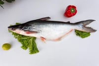 Fresh Indian Valah / Pangasius Bocourti - Whole