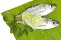 Bigeye Scad / Selar Scad / Potaan Paara - Whole