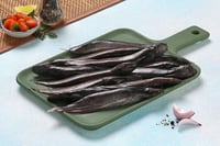 Backwater Stinging Catfish / Singi / Kaari - Whole, Uncleaned, As is