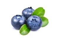 Berries - Blueberries - Pack of 125g (NL) / توت أزرق