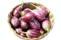 Brinjal Vari