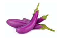 Brinjal Long Purple