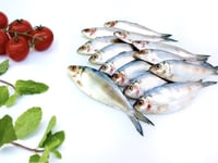 Gold Striped Sardine / Fringescale sardinella / Carrie Chala - Whole (Not Cleaned, Not Gutted)