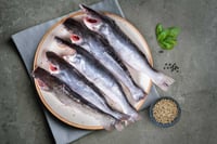 Marine Catfish \ Etta Kunju \ ಸಾಡೆ (Small) - Whole Cleaned