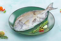 Safi / Black Leather Jacket / Adu - Whole