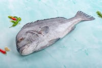 Gray Snapper - Whole