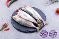 Mackerel / Garfa / Ayala / Bangda (Small) - Whole Cleaned