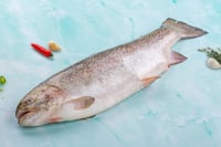 Norwegian Trout - Whole