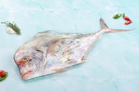Silver Trevally / Kannadi Vatta - Whole