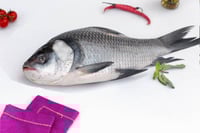 Catla / ಕಾಟ್ಲಾ (1kg to 2kg) - Whole (Not Descaled,Not Cleaned, Not Cut In Pieces)
