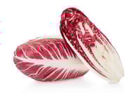 Chicory Red (NL) -500g Pack