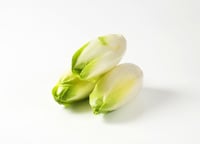 Chicory (NL) -500g Pack