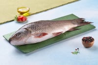 Classic Rohu / Rui (900g-1kg size Fish) - Whole Pack