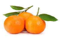 Clementine (TU) - Pack of 5 / كلمنتين تركي