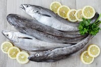 Fresh Cod Fish - Whole