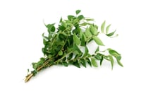 Curry Leaf - 65g Bunch