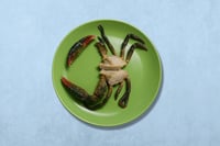 Mud Crab - Cut with Shell