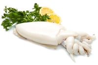 Cuttle Fish - Whole cleaned