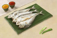 Dry Horse Mackerel / Ayala Para / Vankada - 100g Pack