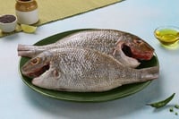 Emperor / Eari / Sheri / Shaari - (Large OG) - Whole cleaned