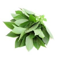 Molokhia/Jute Leaves (LB) - Pack of 200g