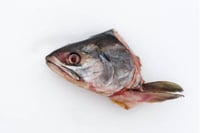 Fish Head and Tail - Curry Cut