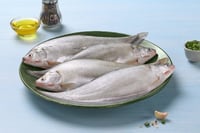 Foli / Phouli / Bronze Featherback - Whole (As is without cleaning and cutting)