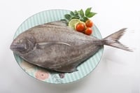 Kerala Black Pomfret / Karutha Avoli - Whole
