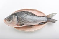Catla / ಕಾಟ್ಲಾ (Extra Large 4kg+)