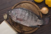 Premium Gift Tilapia (from FreshToHome Farms)