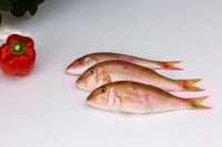 Premium Bream / Goat Fish - Whole